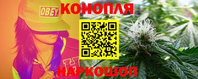 МДПВ Бийск