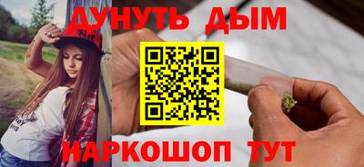 МДПВ Бийск