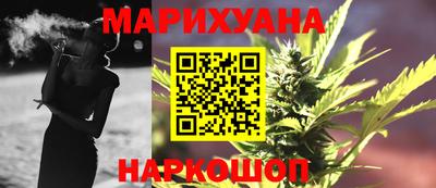МДПВ Бийск